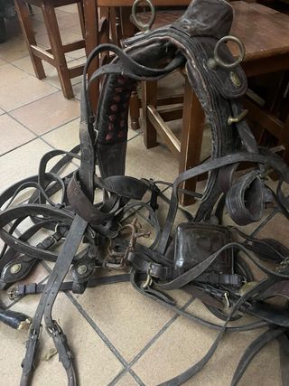 Arreos de mulo limonera