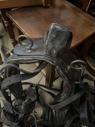 Arreos de mulo limonera