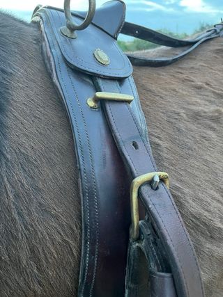 Arreos de mulo limonera