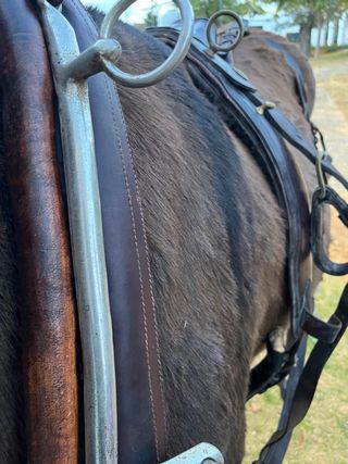 Arreos de mulo limonera