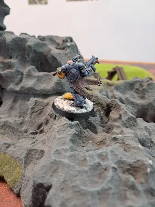 Teniente Lobo Espacial