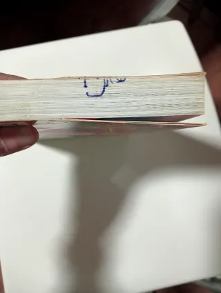 Los Futbolísimos 5: El misterio del robo imposi...