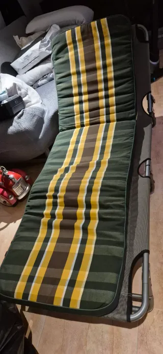 Tumbona plegable con colchoncillo