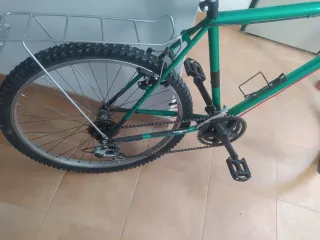 Bicicleta de paseo verde