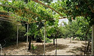 Chalet en alquiler en Alfacar