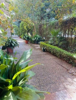 Chalet en alquiler en Alfacar