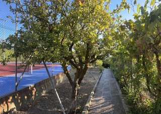 Chalet en alquiler en Alfacar