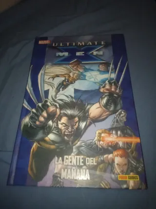 Lote 13 cómics DC , Marvel , Hervé y novela ilustr