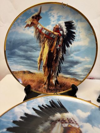 🇺🇸Franklin Mint - edición limitada  Platos exclusiv