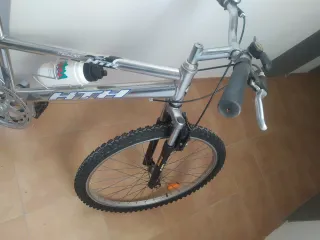 Bicicleta de paseo plateada