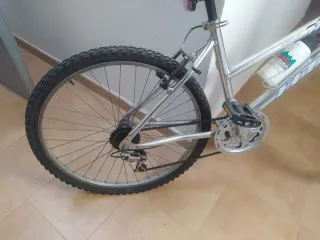 Bicicleta de paseo plateada