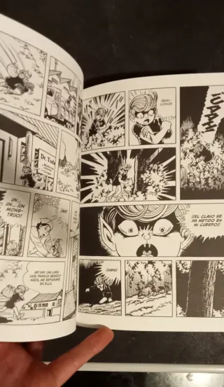 EL CHICO DE LOS OJOS DE GATO 1