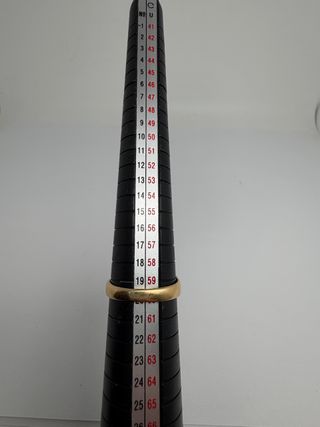 Anillo Sello Oro 18k con Piedra Roja 6,12gr T20