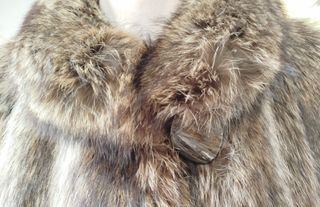 Pelliccia di marmotta