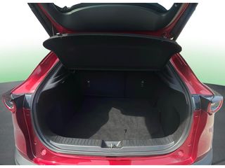 Mazda CX-30 2.0 e-SKYACTIV-G Evolution 2WD 90 kW (122 CV)