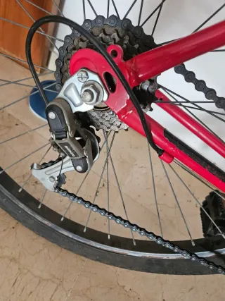 Bicicleta Roja Adventure One