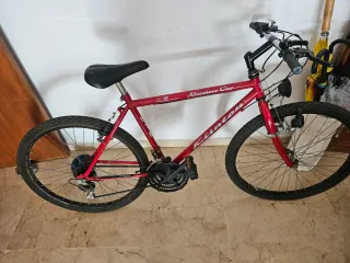 Bicicleta Roja Adventure One