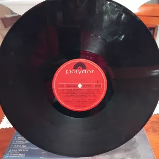 Vinilo año 1980 Rocanrol Bumerang Miguel Rios