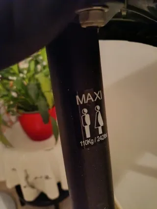 Bicicleta Estática Domyos VM 190