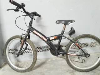 Bicicleta Homester 20