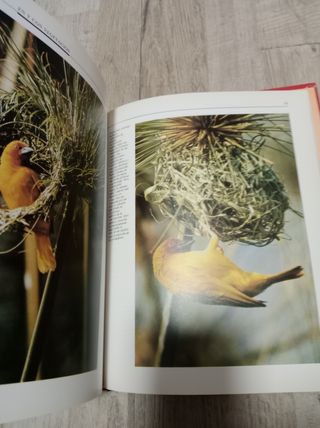 Lote 2 libros:  El reto de la vida