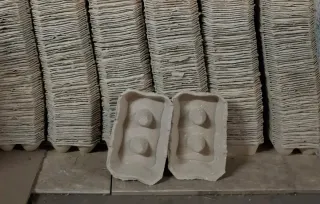 Hueveras de cartón nuevas