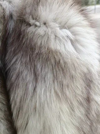 Pelliccia volpe della Groenlandia veste 42-46