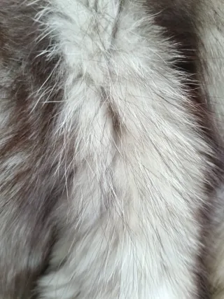 Pelliccia volpe della Groenlandia veste 42-46