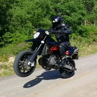 Casco L Shark Spartan Carbon Negro