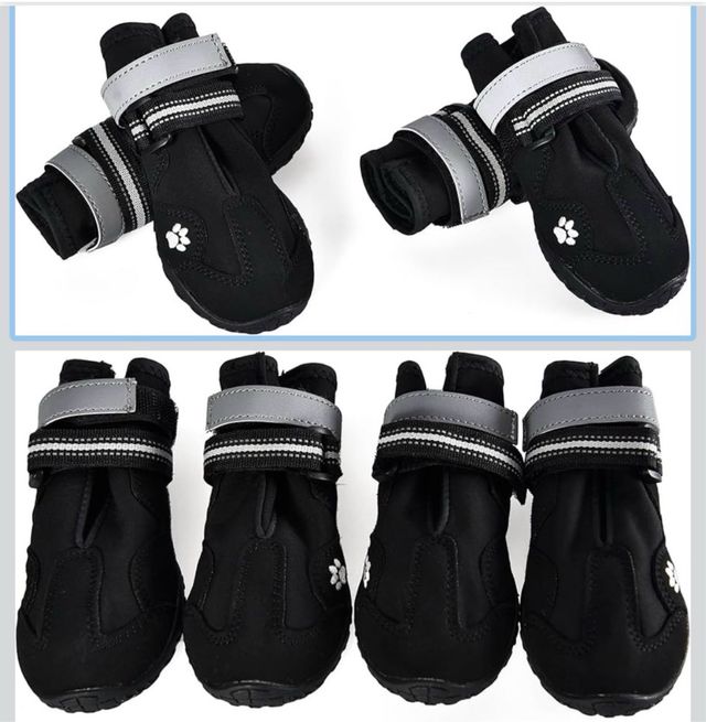 Botas Perro Impermeables Antideslizantes