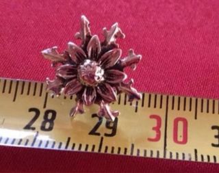 Pendientes Plata Eguzkilore