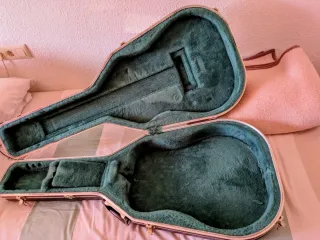 Guitarra Epiphone Emperor Joe Pass