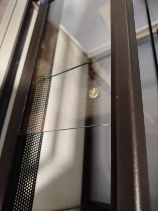 Terrario Negro y Transparente