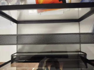 Terrario Negro y Transparente