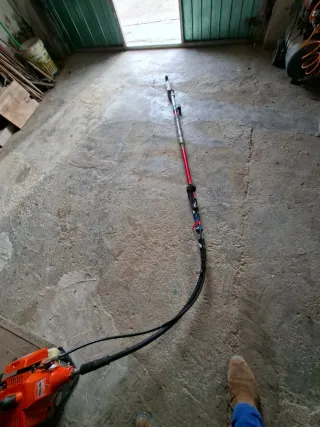 Recolector de aceitunas.