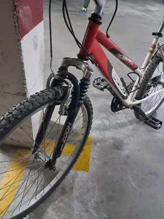 Bicicleta TOPBIKE Hobby 100.