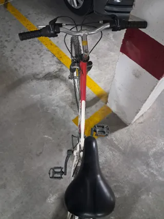 Bicicleta TOPBIKE Hobby 100.