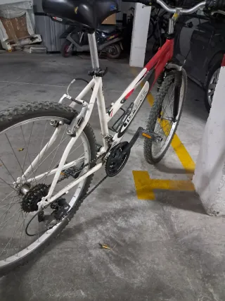 Bicicleta TOPBIKE Hobby 100.