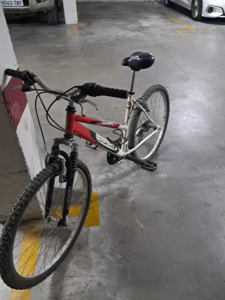 Bicicleta TOPBIKE Hobby 100.