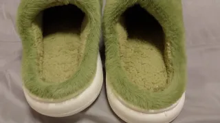 Pantunflas de dinosaurio verdes