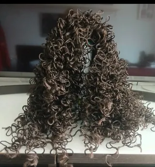 Lote de pelucas negras disfrazes