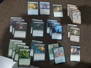 Lotto carte Magic: The Gathering prenotato