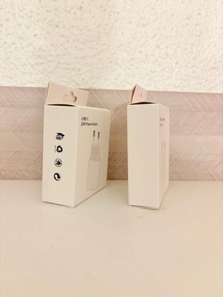 Caricatore USB-C 20W e Cavo Lightning Apple