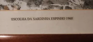 Fotografia Vintage Escolha da Sardinha