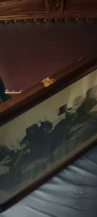 Fotografia Vintage Escolha da Sardinha