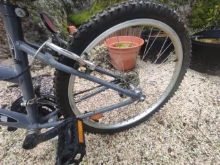 Bicicleta Orbea BT 26 Gris