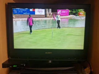 Televisor LCD SONY BRAVIA hoy 45€