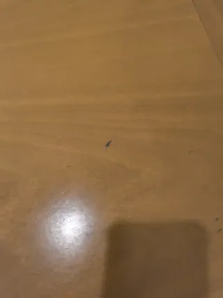 Mesa de salón de madera