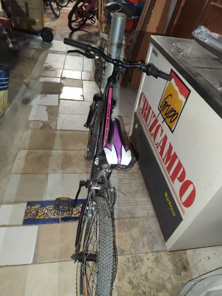 Bicicleta Neon Chic 24 con Suspensión