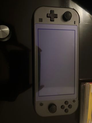 Nintendo Switch Lite Edizione Pokémon Grigio